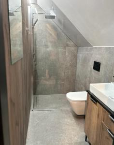 Leśne Wzgórze Apartamenty的一间浴室