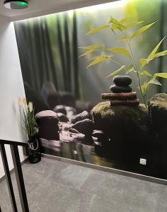 科尔别卢夫Leśne Wzgórze Apartamenty的相册照片