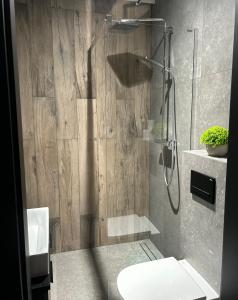 Leśne Wzgórze Apartamenty的一间浴室