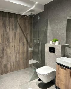 Leśne Wzgórze Apartamenty的一间浴室
