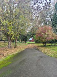 un camino vacío con un granero rojo en la distancia en A Restful Studio Near a Creek and Forest - Pet Friendly, en Roseburg