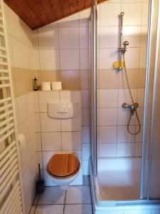 a bathroom with a toilet and a shower at Weidmannsruh Apartment für 2 bis 3 Personen in Frauendorf