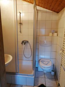 a bathroom with a shower and a toilet and a sink at Weidmannsruh Apartment für 2 bis 3 Personen in Frauendorf