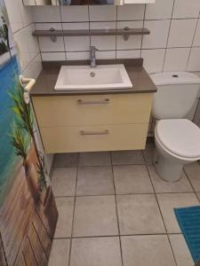 a bathroom with a sink and a toilet at T2 cosy, spacieux et confortable in Les Trois-Îlets