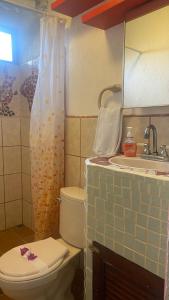 a bathroom with a toilet and a sink at Owl House in Piedades