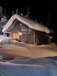 Cozy mountain house in Jämtland v zimě