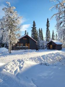 a cabin in the snow with snow covered trees at Cozy mountain house in Jämtland in Vallrun