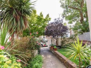 a garden with plants and trees and a fence at Holland House in New Brighton