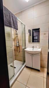 a bathroom with a sink and a shower at Cosy studio in the heart of Brasov in Braşov