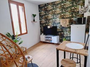 Televízia a/alebo spoločenská miestnosť v ubytovaní Le Jungle Appart, centre ville Narbonne