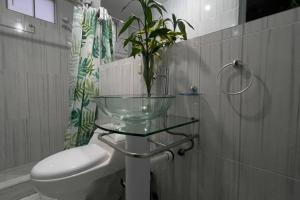 baño con aseo y mesa de cristal con planta en Apartment with amazing view, en Arequipa 21 fotos más
