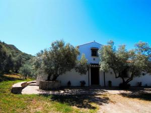 uma casa branca com oliveiras em frente em Belvilla by OYO Cortijo Los Olivos em La Joya
