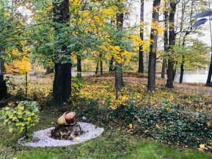 um hidrante sentado no meio de um parque em Zielona Prowincja em Myslakowice