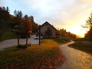 Příroda nedaleko bed and breakfast