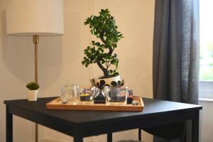 una mesa con una maceta encima en Le temple du calme, en Metz