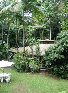 Zahrada ubytování Daintree Deep Forest Lodge + 21 fotografií