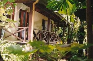 Zahrada ubytování Daintree Deep Forest Lodge