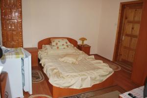 Postel nebo postele na pokoji v ubytování Casa Olanescu