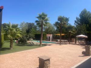 un patio con palmeras y una piscina en CASERIO LA SEVILLANA, en Baeza