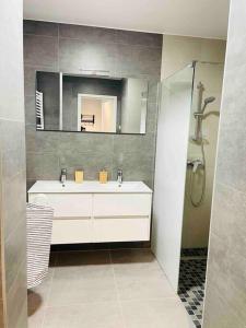 een badkamer met een wastafel en een spiegel bij New One bedroom Flat- Terrace & Parking in Luxemburg