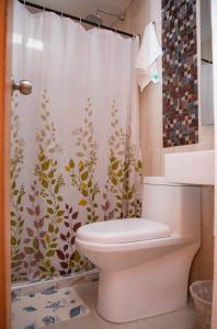a bathroom with a toilet and a shower curtain at CASA PETRA in Cartagena de Indias +15 photos