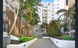 a walkway with palm trees in front of a building at Guesthouse, read about the host before booking please in Wollongong