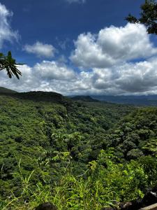 a view of a lush green forest under a cloudy sky at Las cabañas del Francés in Alto Boquete