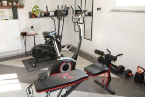 a gym with two exercise bikes and a treadmill at Exklusive Dorfpension mit Pool und Sauna in Lage