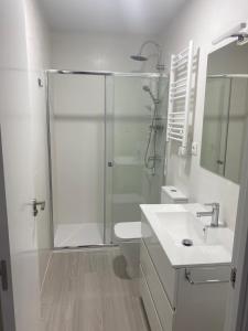 y baño con ducha, aseo y lavamanos. en Moncloa apartment, con parking en Madrid