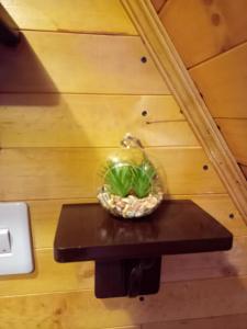 a bowl on a table with a plant on it at Cabañas el Olimpo in Aquitania