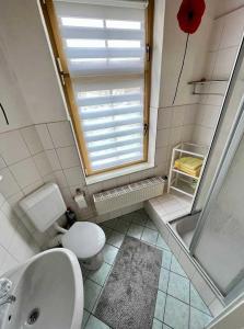 ザスニッツにあるFerienwohnungen Ottoのバスルーム(トイレ、洗面台付)、窓が備わります。
