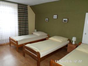 two beds in a room with green walls at Pokoje Gościnne IRGA Apartamenty in Starogard Gdański