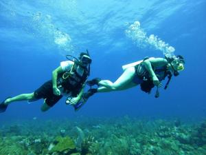 two people in scuba gear swimming in the ocean at Corona del Mar in San Pedro
