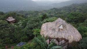 a large straw hut with a view of a forest at Taorayiná nature lodge- immersed in the forest in El Zaino