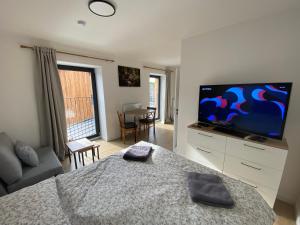 TV a/nebo společenská místnost v ubytování Apartmány v Javorné na Šumavě