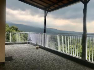 Příroda nedaleko hotelu + 37 fotografií