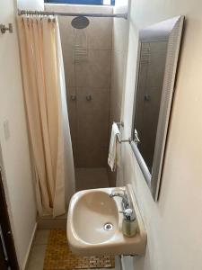 a bathroom with a sink and a shower at Linda Habitación en el Centro in Querétaro