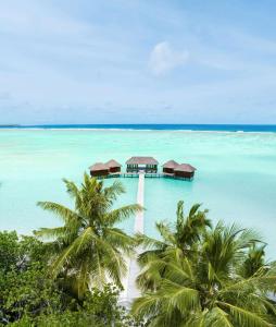um resort no meio da água com palmeiras em Conrad Maldives Rangali Island em Mandhoo