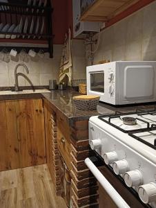 eine Küche mit Herd und Mikrowelle in der Unterkunft Vivienda Rural El Peñón de Los Primillas in La Iruela