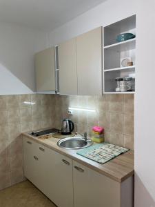 Kuchyň nebo kuchyňský kout v ubytování Hana Apartment Ohrid