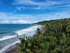 vistas a una playa con palmeras y al océano en Bella Vista Corcovado en Drake