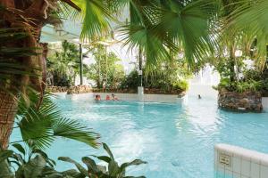 people in a swimming pool with palm trees at Center Parcs Limburgse Peel Limburg-Brabant in America