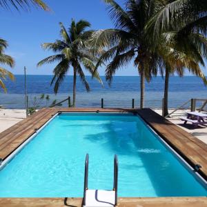 a swimming pool on the beach with palm trees at Coco's Beachfront Cabanas in Seine Bight Village