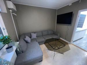 un soggiorno con divano e TV a schermo piatto di Bakgårdens Vandrarhem a Mariestad
