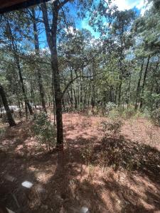 Paesaggio naturale nelle vicinanze del villaggio turistico