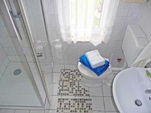 a bathroom with a shower and a toilet and a sink at Bungalow im Garten in Malchow