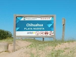Certificato, attestato, insegna o altro documento esposto da NEco apartamentos Naturistas Nudistas Parejas o mujeres solas