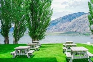 un grupo de mesas de picnic en la hierba junto al agua en Poplars Motel on the lake en Osoyoos
