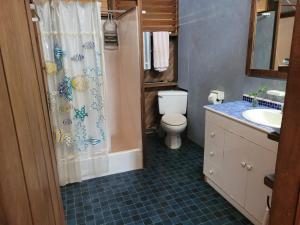 een badkamer met een douche, een toilet en een wastafel bij Villa de el bosque in Puntarenas