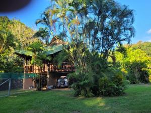 a house with a palm tree in the yard at Villa de el bosque in Puntarenas